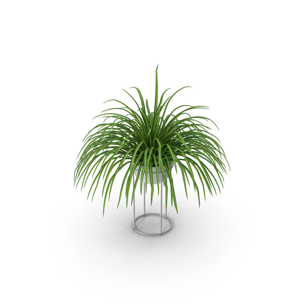 Flower Pot: Small Plant PNG & PSD Images Flower Pot: Small Plant PNG & PSD Images