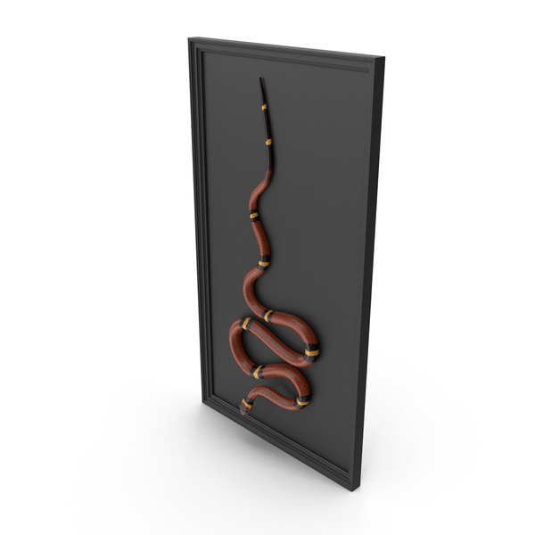 Wall Hanger: Snake Decor PNG & PSD Images Wall Hanger: Snake Decor PNG & PSD Images