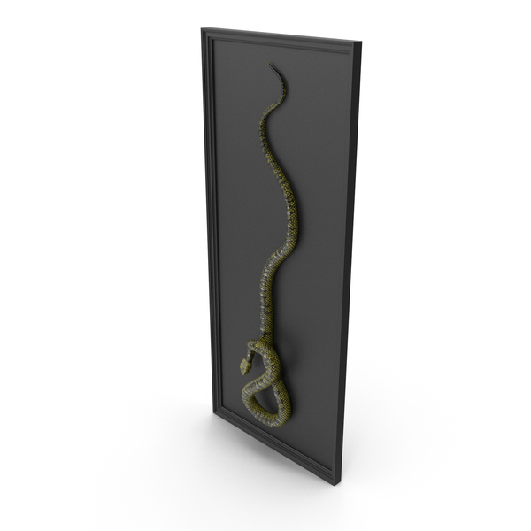 Wall Hanger: Snake Decor PNG & PSD Images