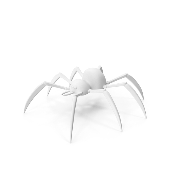 Spider Print PNG Images & PSDs for Download | PixelSquid - S11701495C