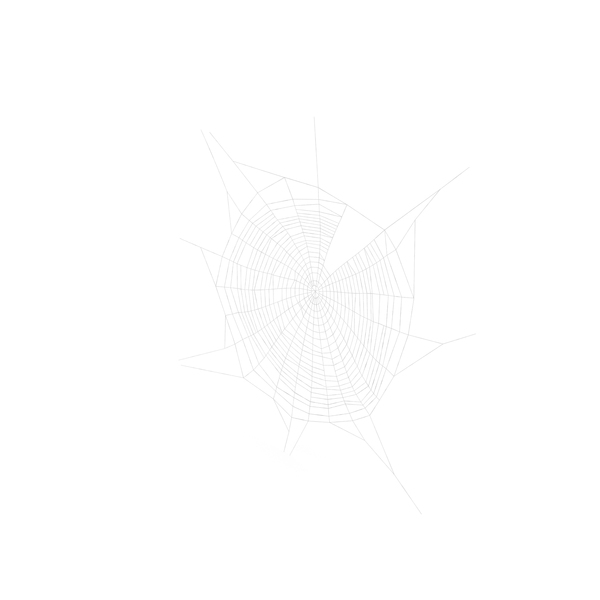 Spider Web in Circle Shape PNG Images & PSDs for Download | PixelSquid ...