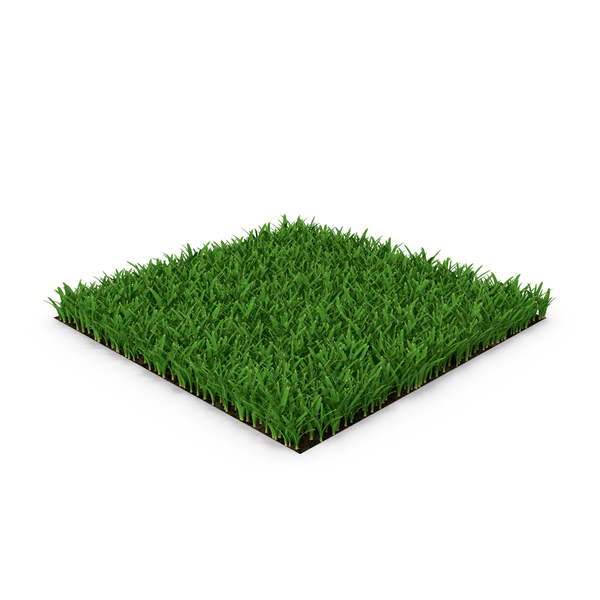 Grasses: St Augustine Grass Lawn PNG & PSD Images Grasses: St Augustine Grass Lawn PNG & PSD Images