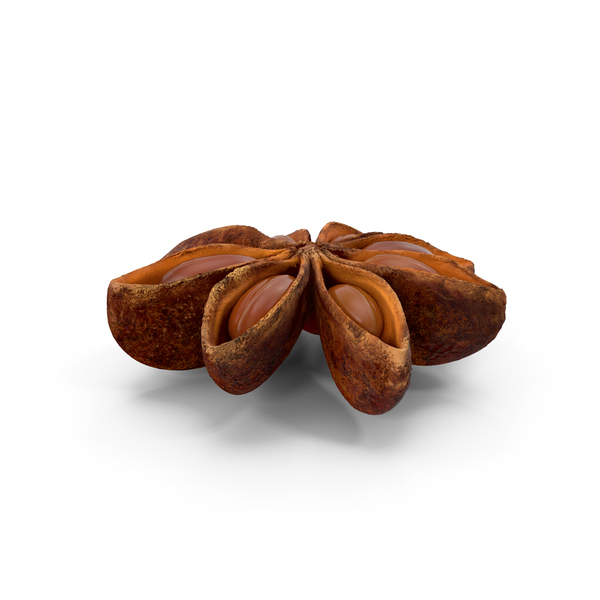 Cinnamon: Star Anise Seed PNG & PSD Images Cinnamon: Star Anise Seed PNG & PSD Images