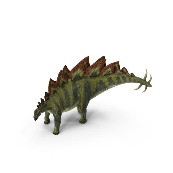 Stegosaurus Object Stegosaurus Object