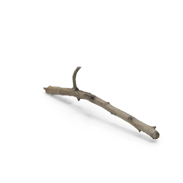 Twig: Stick PNG & PSD Images