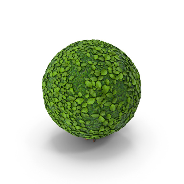 Stylized Sphere Bush PNG & PSD Images