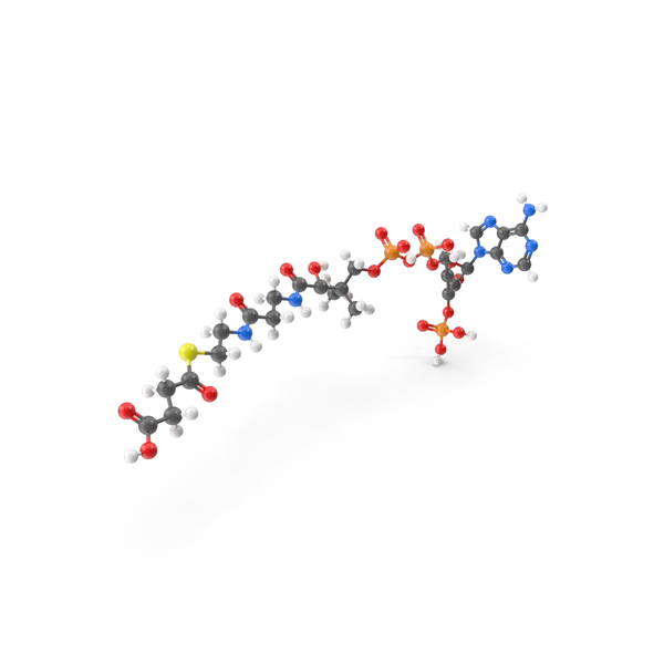 Succinyl Coa Molecule PNG & PSD Images Succinyl Coa Molecule PNG & PSD Images