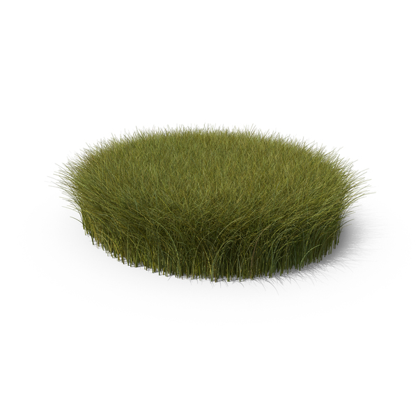 Grasses: Tall Grass Patch PNG & PSD Images Grasses: Tall Grass Patch PNG & PSD Images