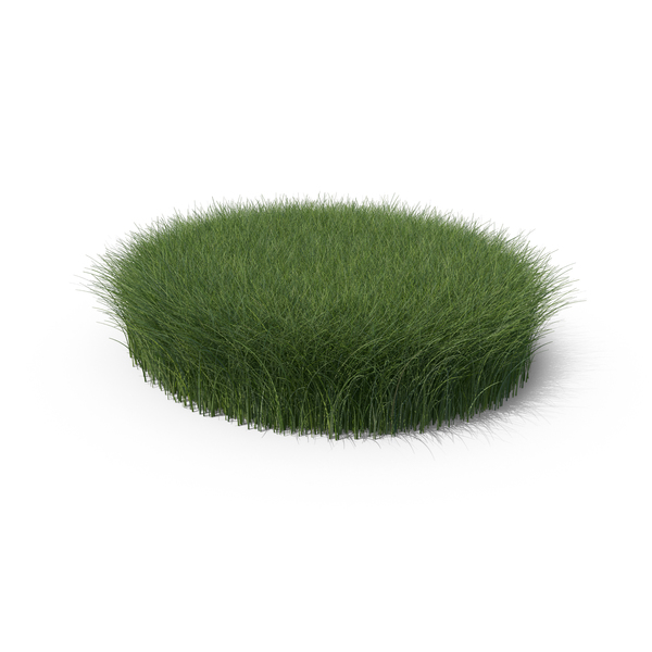 Grasses: Tall Grass Shape Round PNG & PSD Images Grasses: Tall Grass Shape Round PNG & PSD Images