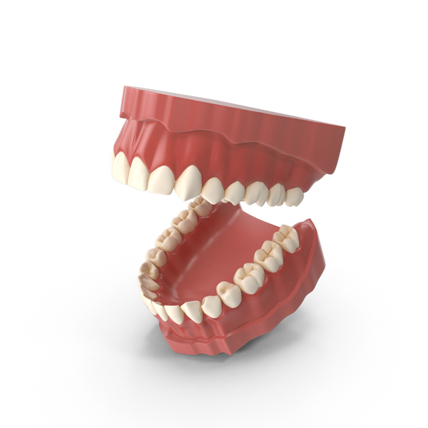 Teeth PNG & PSD Images
