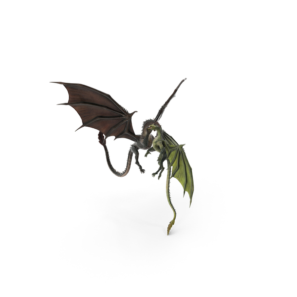 Dragon: The Battle of Two Mythical Dragons PNG & PSD Images