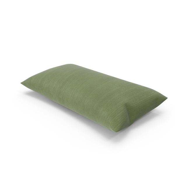 Throw Pillow Object Throw Pillow Object