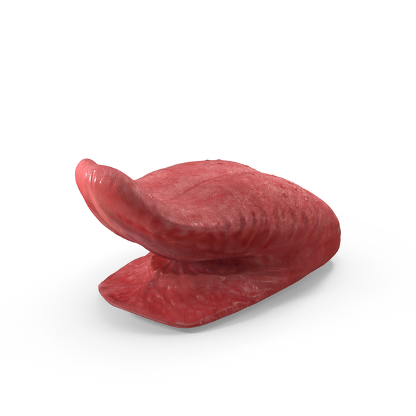 Tongue Sticking Out Up Pose PNG & PSD Images Tongue Sticking Out Up Pose PNG & PSD Images