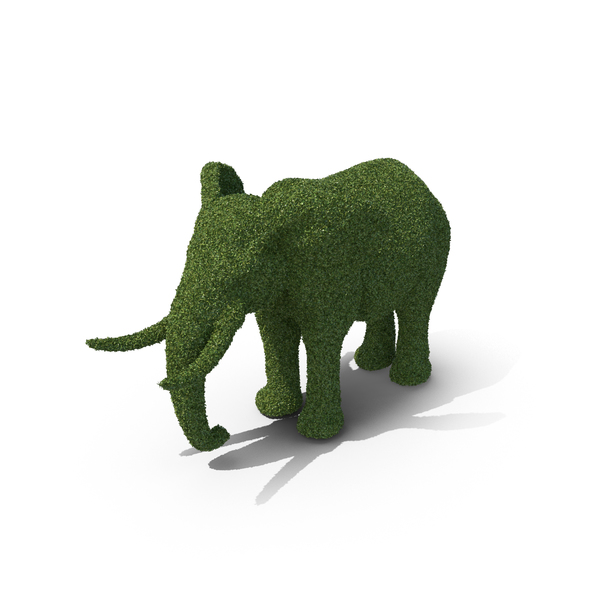 Topiary Elephant PNG & PSD Images