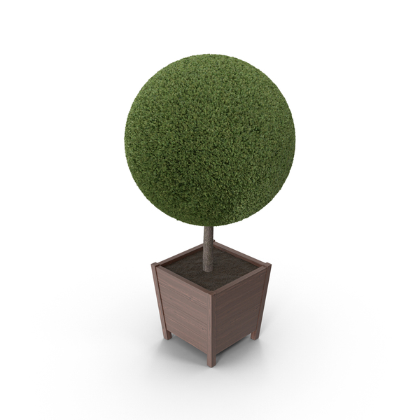 Topiary PNG & PSD Images