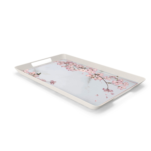 Tray PNG & PSD Images Tray PNG & PSD Images