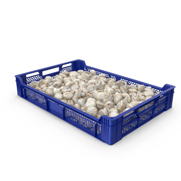 Mushroom: Tray With White Button Mushrooms PNG & PSD Images Mushroom: Tray With White Button Mushrooms PNG & PSD Images