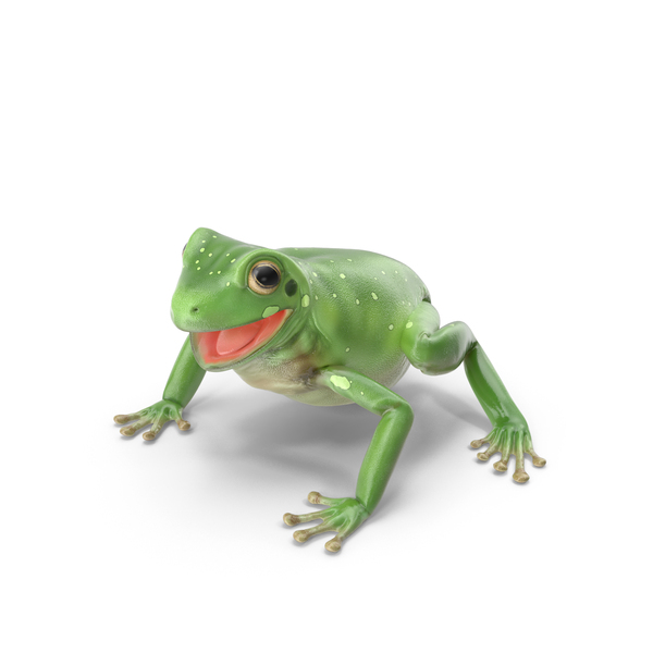 Tree Frog PNG & PSD Images Tree Frog PNG & PSD Images