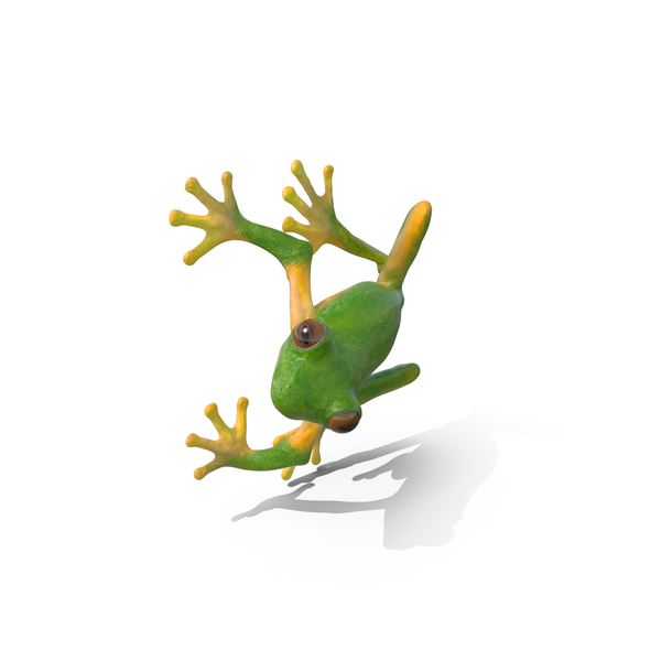 Tree Frog On Tree Pose PNG & PSD Images Tree Frog On Tree Pose PNG & PSD Images