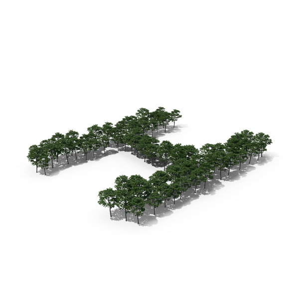 Language: Tree Magnolia Liliflora Letter H PNG & PSD Images