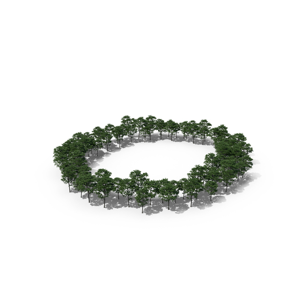 Language: Tree Magnolia Liliflora Letter O PNG & PSD Images