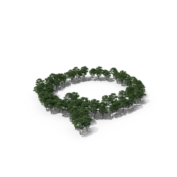 Language: Tree Magnolia Liliflora Letter Q PNG & PSD Images