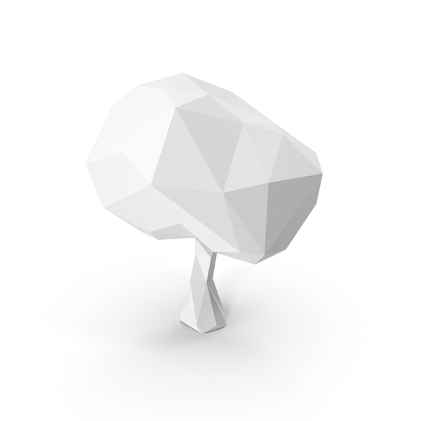 Pine: Tree PNG & PSD Images Pine: Tree PNG & PSD Images
