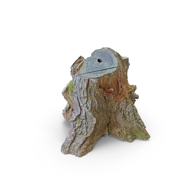 Tree Stump PNG & PSD Images