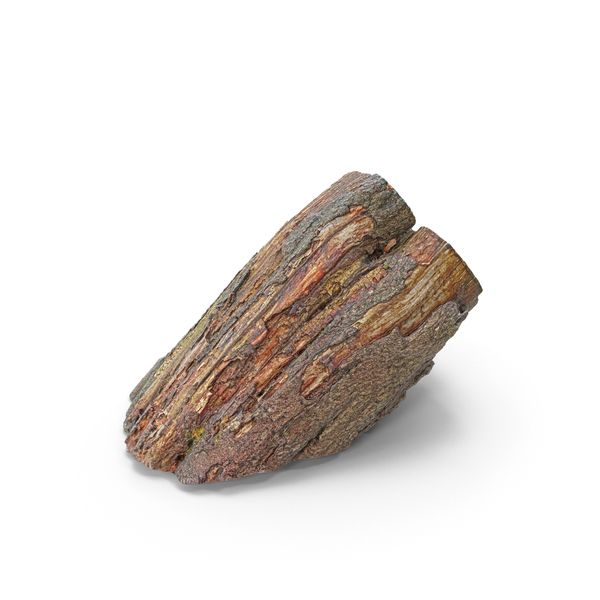 Tree Stump PNG & PSD Images Tree Stump PNG & PSD Images