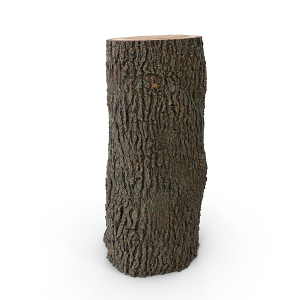 Tree Trunk PNG & PSD Images Tree Trunk PNG & PSD Images