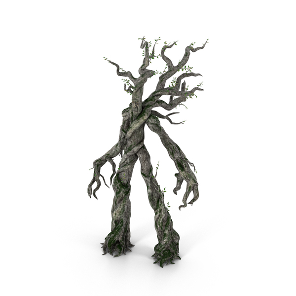 Treefolk PNG和PSD图像