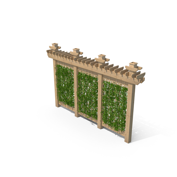 Trellis PNG & PSD Images Trellis PNG & PSD Images