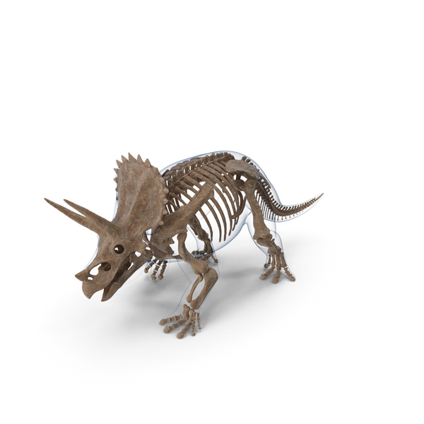 triceratops walking