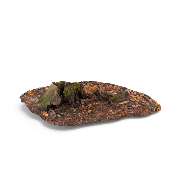 Tree: Trimmed Trunk PNG & PSD Images Tree: Trimmed Trunk PNG & PSD Images