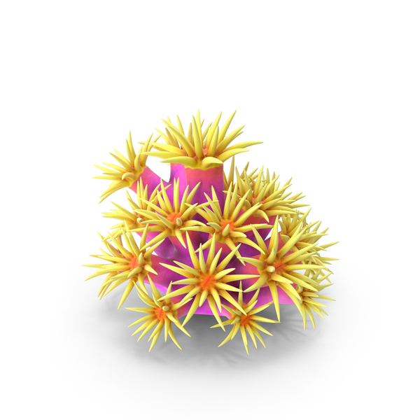 Reef: Tubastrea Coral PNG & PSD Images Reef: Tubastrea Coral PNG & PSD Images