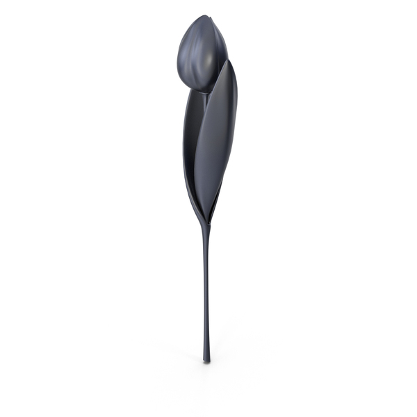 Cartoon Flower: Tulip Black PNG & PSD Images Cartoon Flower: Tulip Black PNG & PSD Images