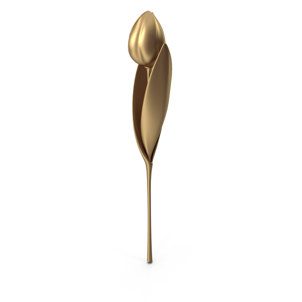 Cartoon Flower: Tulip Gold PNG & PSD Images