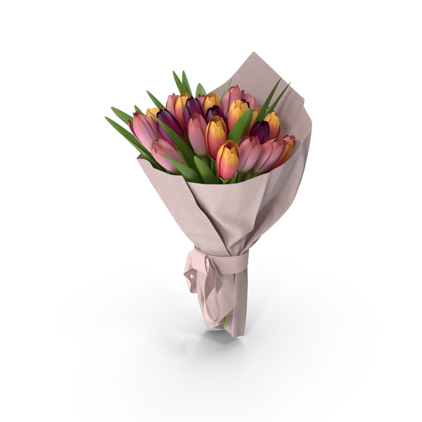 Tulips Bouquet PNG & PSD Images