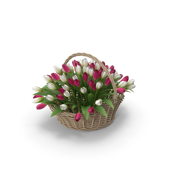 Bouquet: Tulips In Basket PNG & PSD Images Bouquet: Tulips In Basket PNG & PSD Images