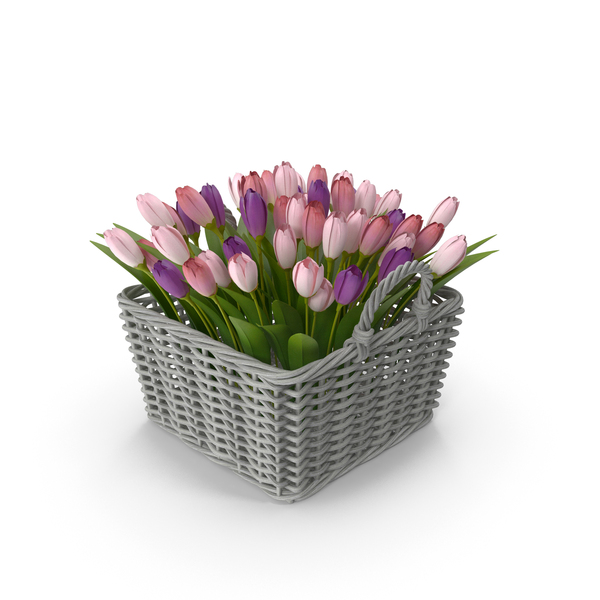 Tulip: Tulips In Basket PNG & PSD Images Tulip: Tulips In Basket PNG & PSD Images