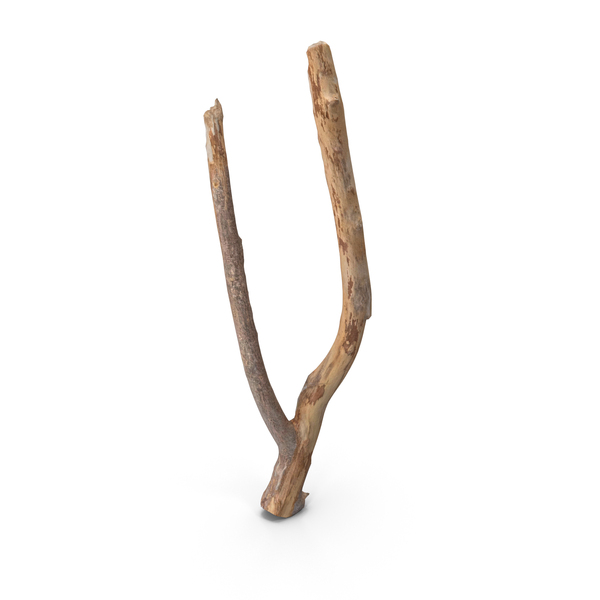Twig Scanned PNG & PSD Images