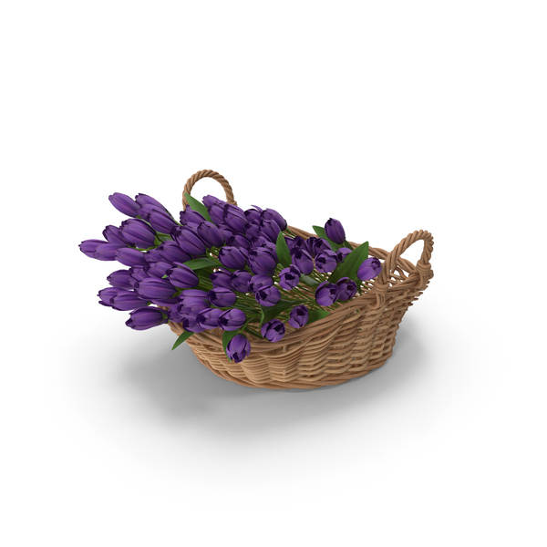 Bouquet: Two Handles Basket With Tulips PNG & PSD Images