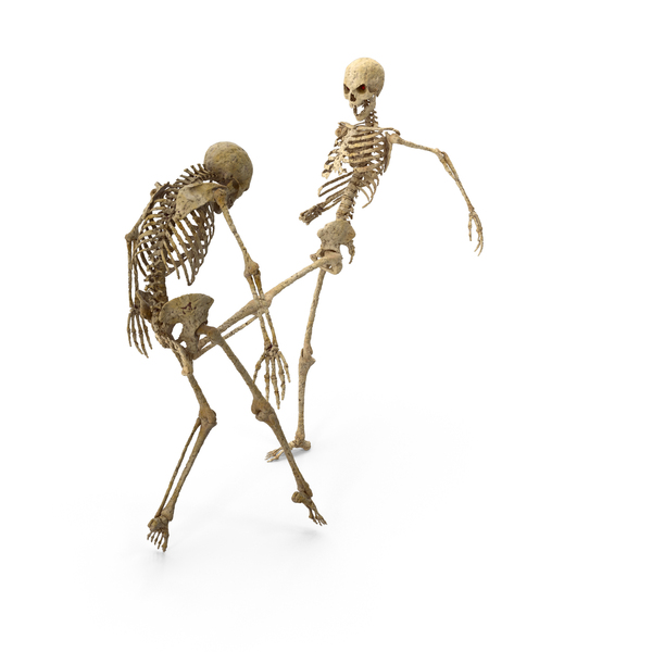 Pelvic Bone PNG Images & PSDs for Download | PixelSquid