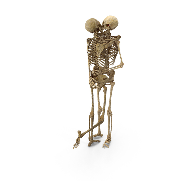 Female Skeleton: Two Worn Skeletons Kissing PNG & PSD Images