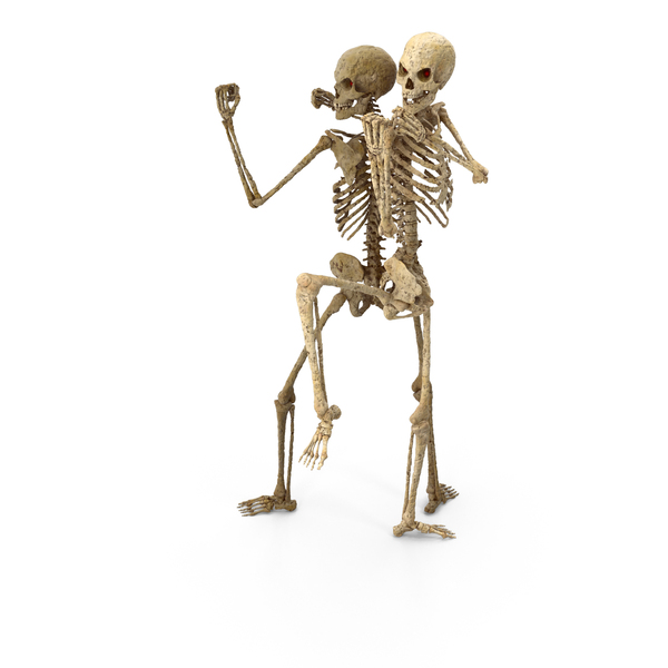 Skeleton Fighter: Two Worn Skeletons Kung Fu Partners PNG & PSD Images