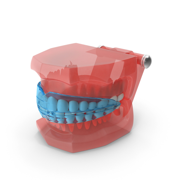 Dental: Typodont with Transparent Removable Retainer PNG & PSD Images Dental: Typodont with Transparent Removable Retainer PNG & PSD Images