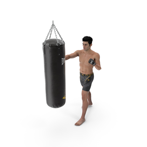 Heavy: UFC MMA Fighter Training With Everlast Punching Bag Fur PNG & PSD Images Heavy: UFC MMA Fighter Training With Everlast Punching Bag Fur PNG & PSD Images