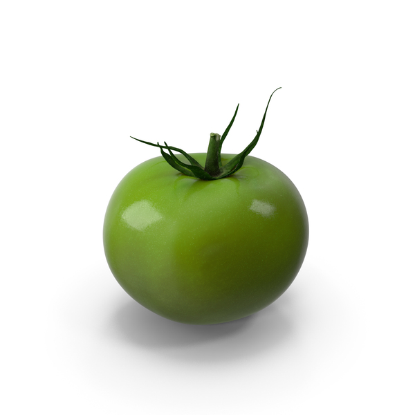 Unripe Tomato with Stem PNG & PSD Images Unripe Tomato with Stem PNG & PSD Images