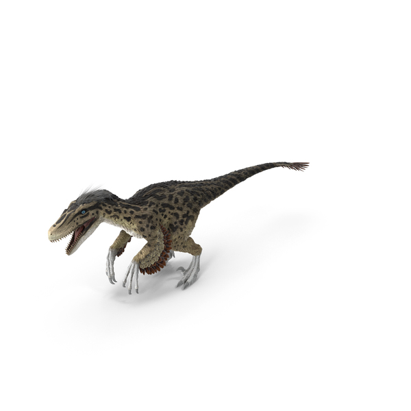 Dinosaur: Utahraptor PNG & PSD Images Dinosaur: Utahraptor PNG & PSD Images