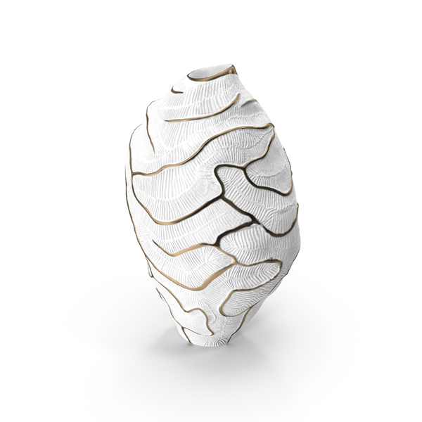 Modern: Vase Fos Fossilia PNG & PSD Images Modern: Vase Fos Fossilia PNG & PSD Images